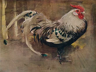 El gallo moteado, 1903, 1935