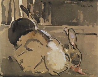 Dos conejos, uno comiendo zanahorias (aguada y acuarela sobre papel)