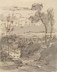 Árboles y paisaje accidentado