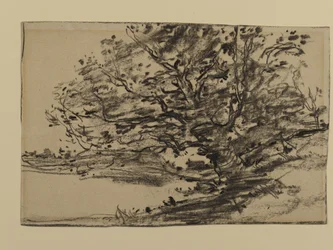 Estudio de árboles, 1870