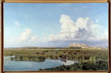 Paisaje de la Camarga (óleo sobre lienzo)