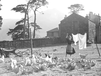 Esposa de granjero tendiendo la colada con aves de corral en primer plano en Loweswater