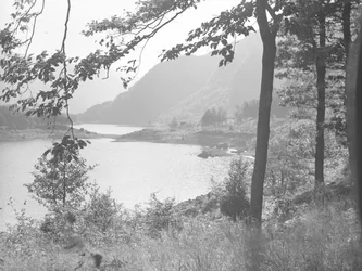 Thirlmere a través de las ramas de los árboles