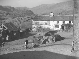 Tres niños observando los caballos en el corral de Kentmere con la granja y las colinas detrás.
