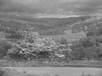 Vista de un lago en Rydal