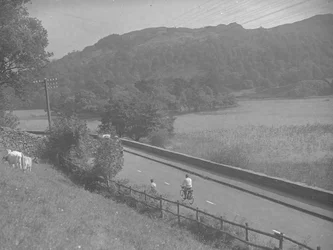 Vista de una carretera que bordea Rydal Water, incluye gente en bicicleta, ganado y colinas.