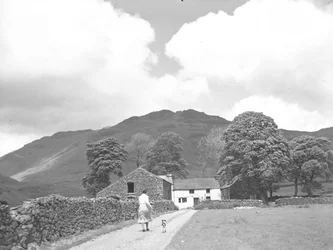 Mujer y perro caminando por la pista hacia Dalehead Farm