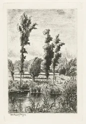 árboles por una zanja