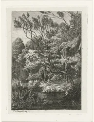 vista al bosque