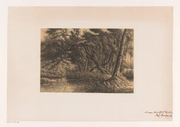 Paisaje forestal con pantanos