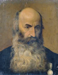 Cabeza de estudio de un hombre barbudo II