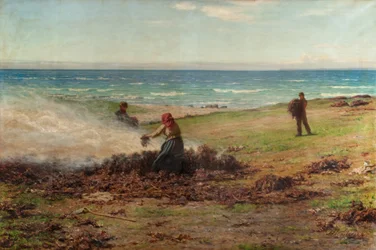 Quema de algas