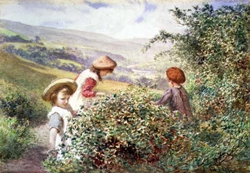 Los recolectores de moras