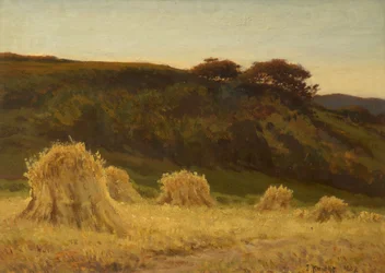 El maizal