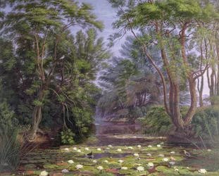 Nenúfares del río Cherwell, 1851