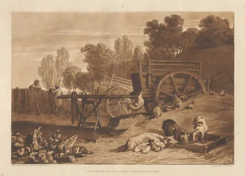 El corral con el gallo