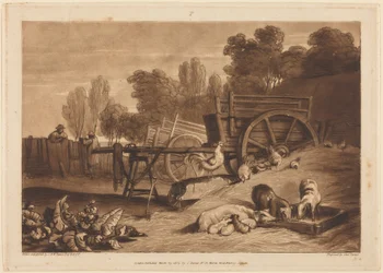El corral de la granja con el gallo