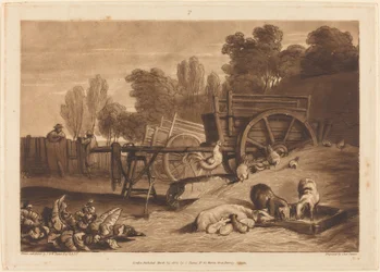 El corral con el gallo