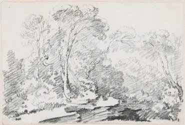 Árboles