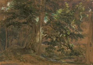 Interior del bosque cerca de Lundenburg (grupo de arce en un lago de montaña)