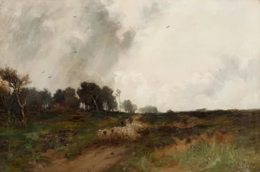 Cruzando el páramo