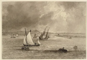 Barcos en la costa