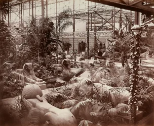El Palacio de Cristal de Londres: la sección tropical, hacia 1870