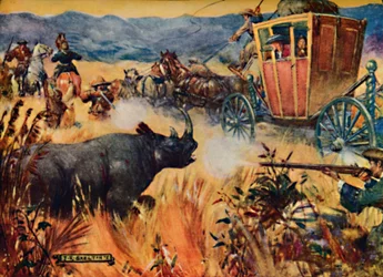 Simon van der Stel y el Rinoceronte, 1909