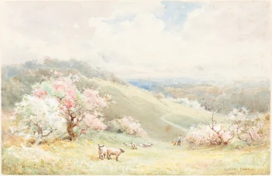 Primavera