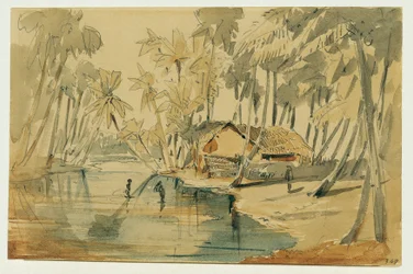Palmeral en Ceilán (Sri Lanka)