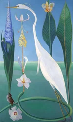 la garza blanca