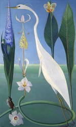 La garza blanca