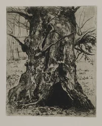 Sin título--Tronco de árbol