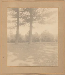 Paisaje con árboles