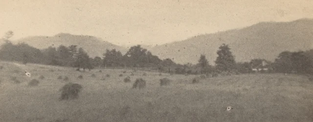 Paisaje con árboles y montañas,c. 1900 (foto)