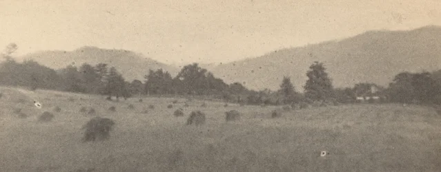 Paisaje con árboles y montañas