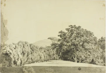 Paisaje arbolado