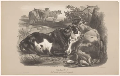 Cinco vacas en un prado L