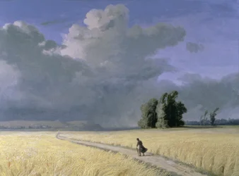 Campo de trigo cerca de Calais