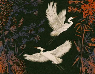 El vuelo de las garzas elegantes