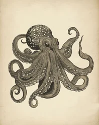 Elegante pulpo vintage
