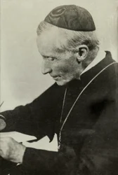 Retrato del cardenal estadounidense James Gibbons (foto)