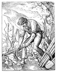 El viticultor