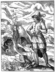 Minero, siglo XVI