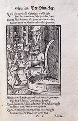 Fabricante de aceite, ilustración de la edición latina de 