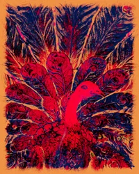 El pavo real dorado de Bahaullah, 2016