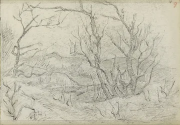 Paisaje montañoso con un grupo de árboles