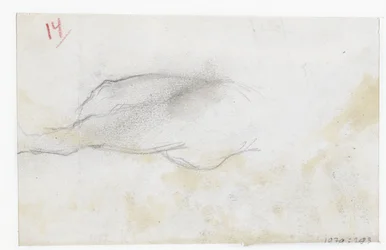 Boceto de un paisaje