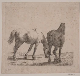 Dos caballos