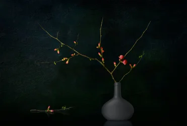 Ramas en flor oscuras
